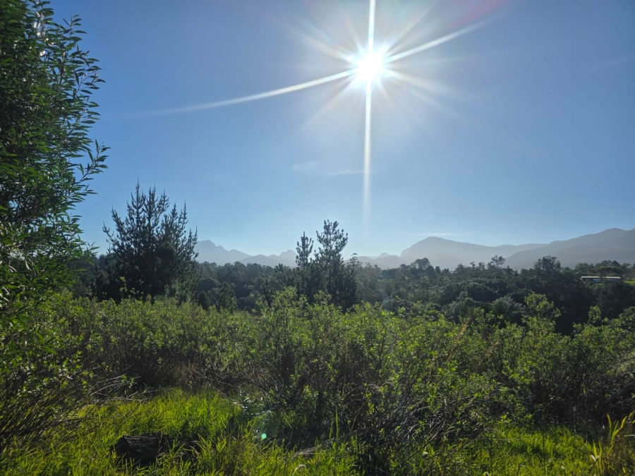 Commercial Property for Sale in Wilderness Heights Western Cape